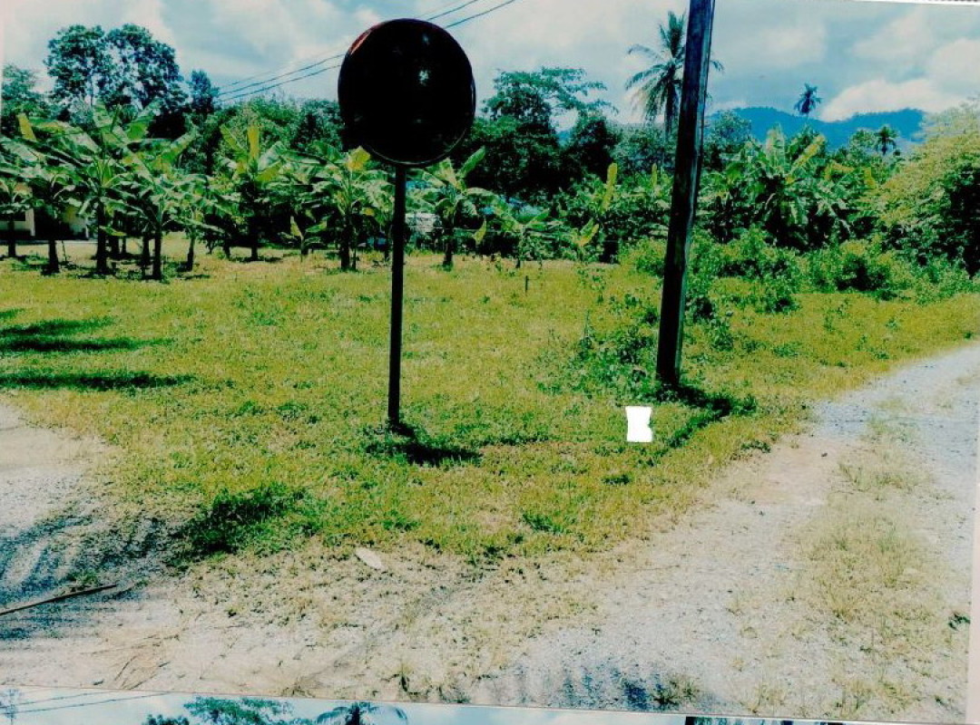 ที่ดินเปล่า นครศรีธรรมราช ทุ่งสง นาหลวงเสน 30000