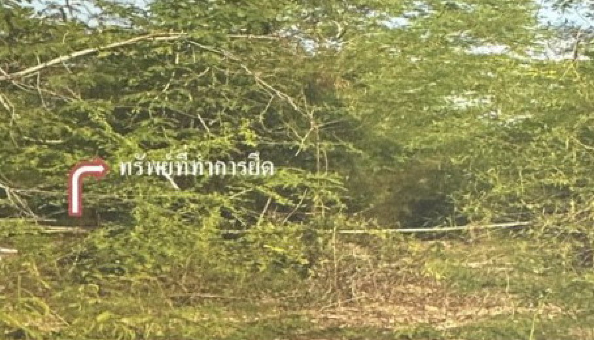 ที่ดินเปล่า กาฬสินธุ์ เมืองกาฬสินธุ์ โพนทอง 200000