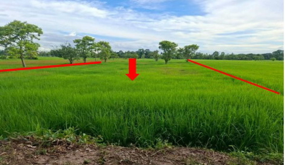 ที่ดินเปล่า กาฬสินธุ์ ยางตลาด ยางตลาด 314000