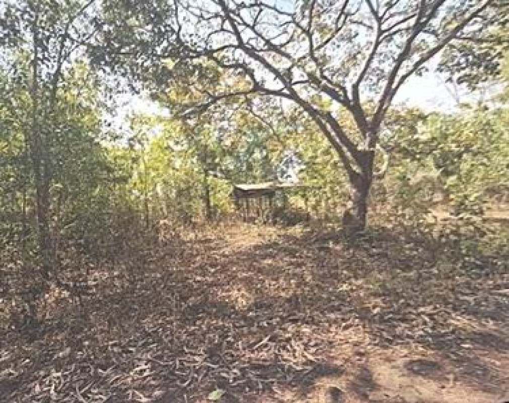 ที่ดินเปล่า สกลนคร อากาศอำนวย อากาศ 209300