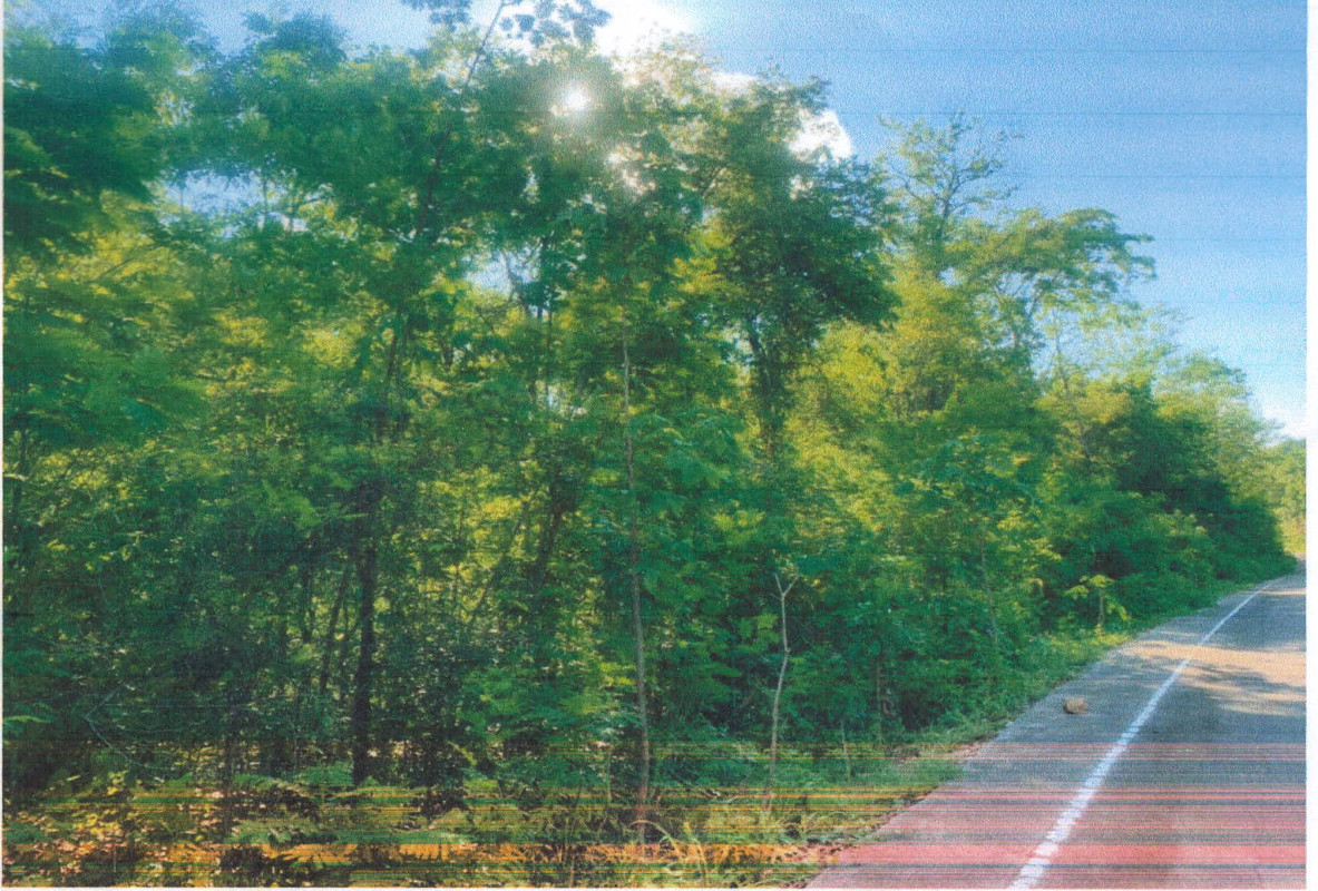 ที่ดินเปล่า ลำปาง เมืองลำปาง พิชัย 1800300