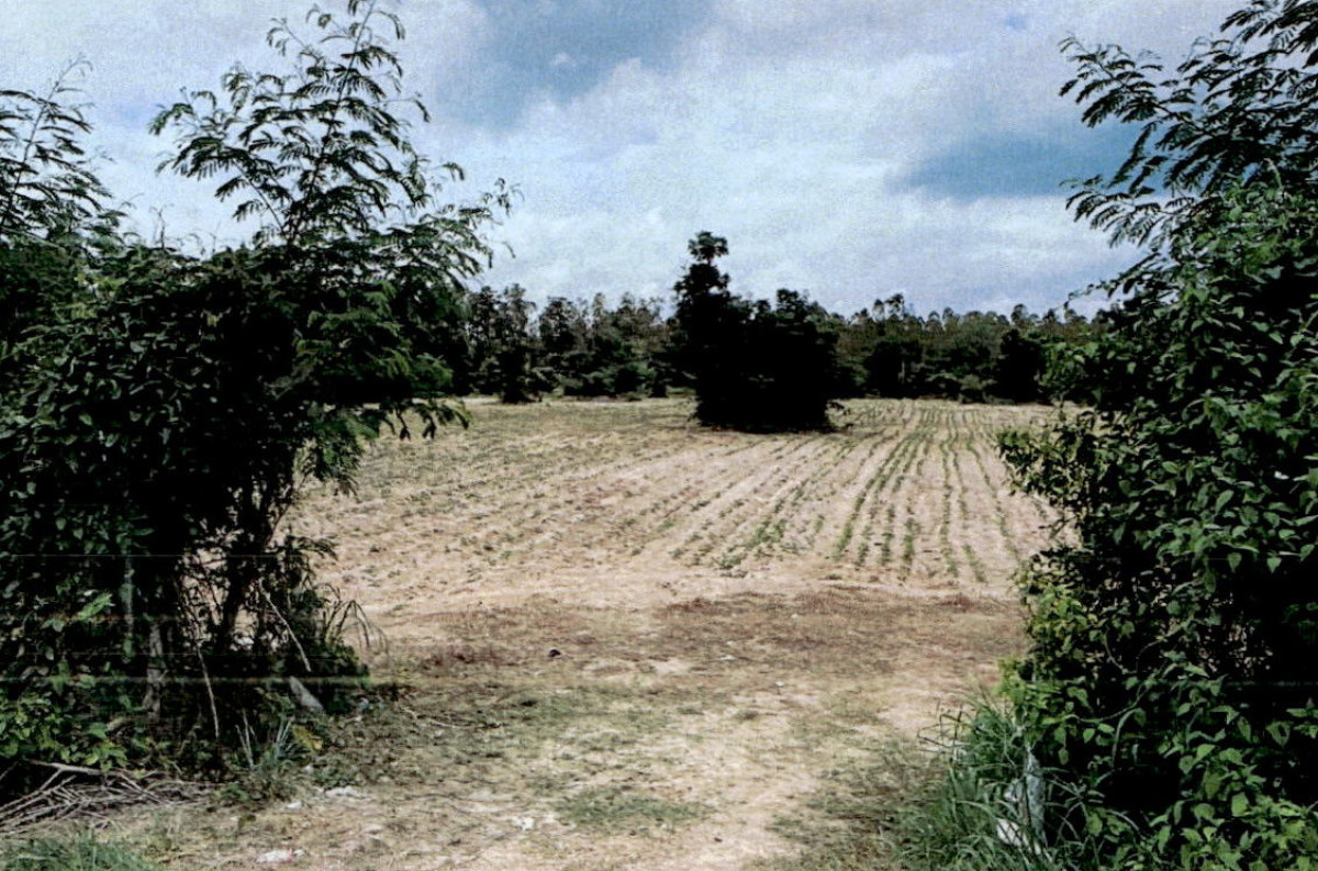 ที่ดินเปล่า ลำปาง เกาะคา ลำปางหลวง 3914160