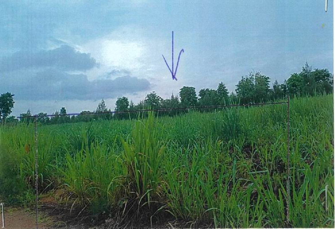 ที่ดินเปล่า ราชบุรี สวนผึ้ง ป่าหวาย 890010