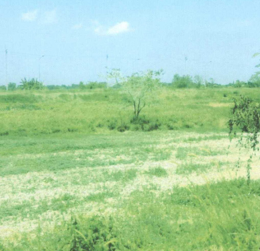 ที่ดินเปล่า ปัตตานี กะพ้อ กะรุบี 16320