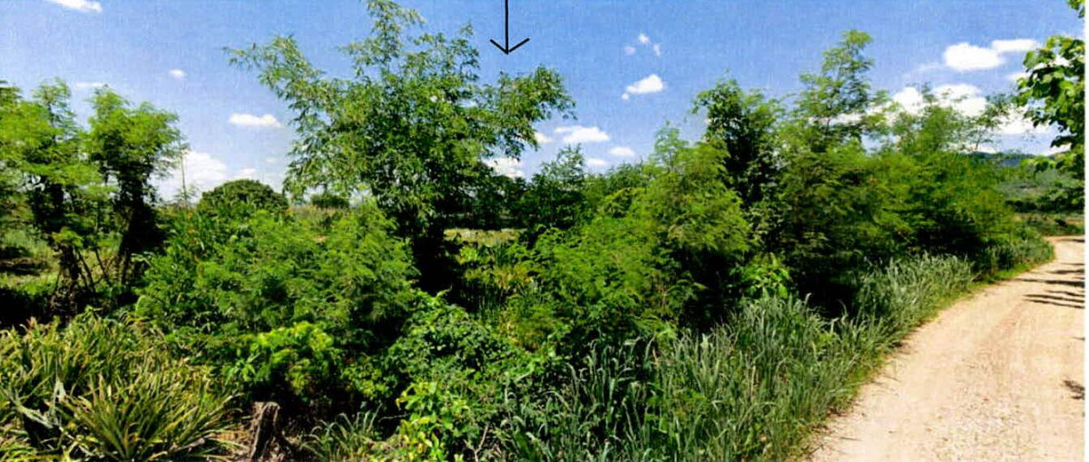 ที่ดินเปล่า ลำปาง เมืองลำปาง บ้านเสด็จ 299770