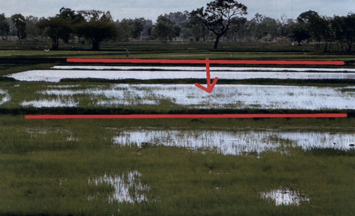 ที่ดินเปล่า สุรินทร์ รัตนบุรี ไผ่ 120000
