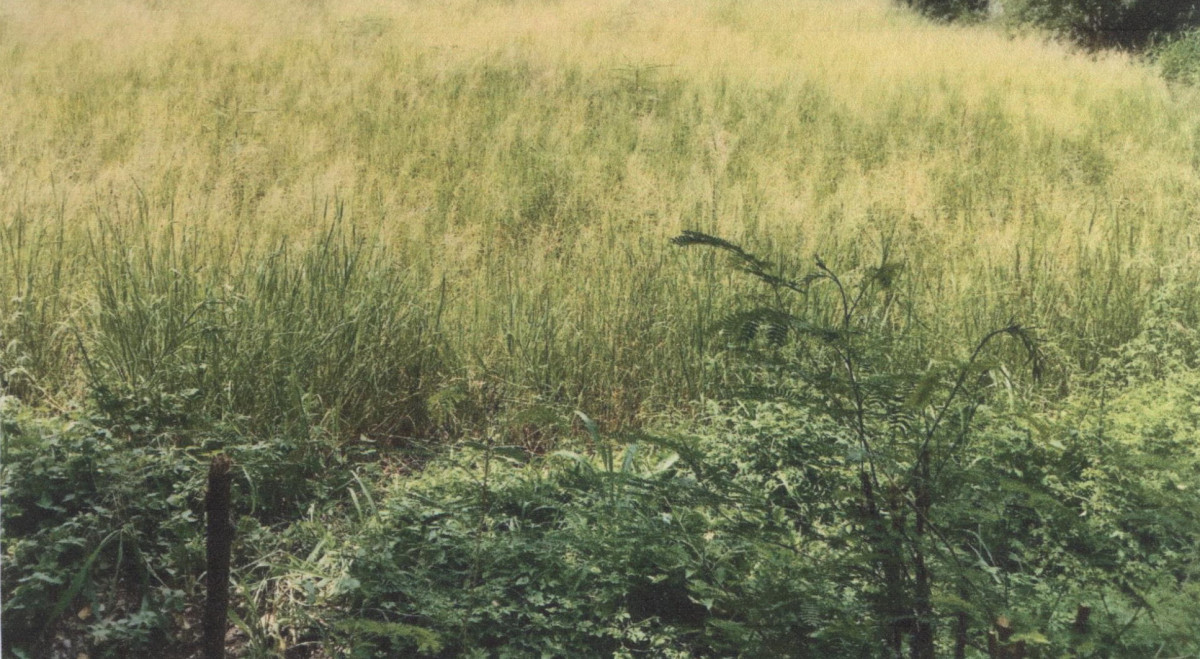 ที่ดินเปล่า ลพบุรี เมืองลพบุรี ถนนใหญ่ 752000