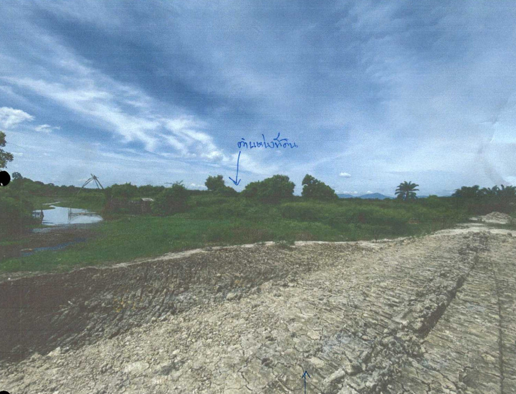 ที่ดินเปล่า นครศรีธรรมราช เมืองนครศรีธรรมราช ท่าเรือ 17579328