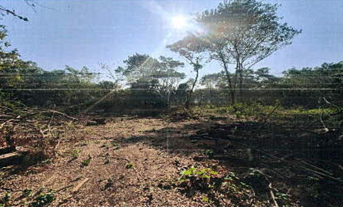 ที่ดินเปล่า ลำปาง สบปราบ แม่กัวะ 137340