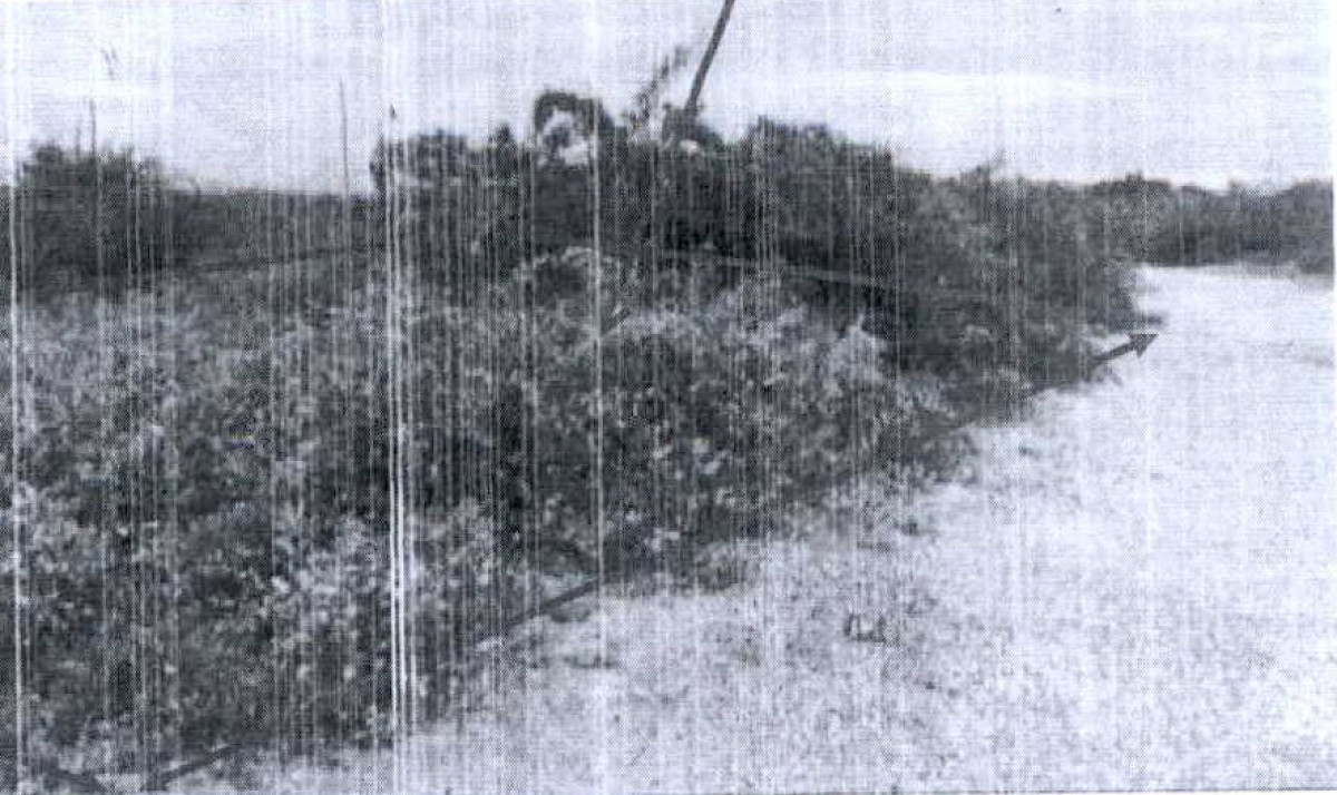 ที่ดินเปล่า เพชรบุรี บ้านแหลม แหลมผักเบี้ย 420000