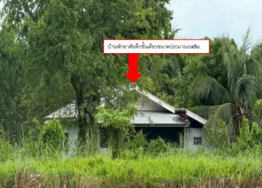 บ้านเดี่ยว พิษณุโลก เมืองพิษณุโลก วัดพริก 1520000