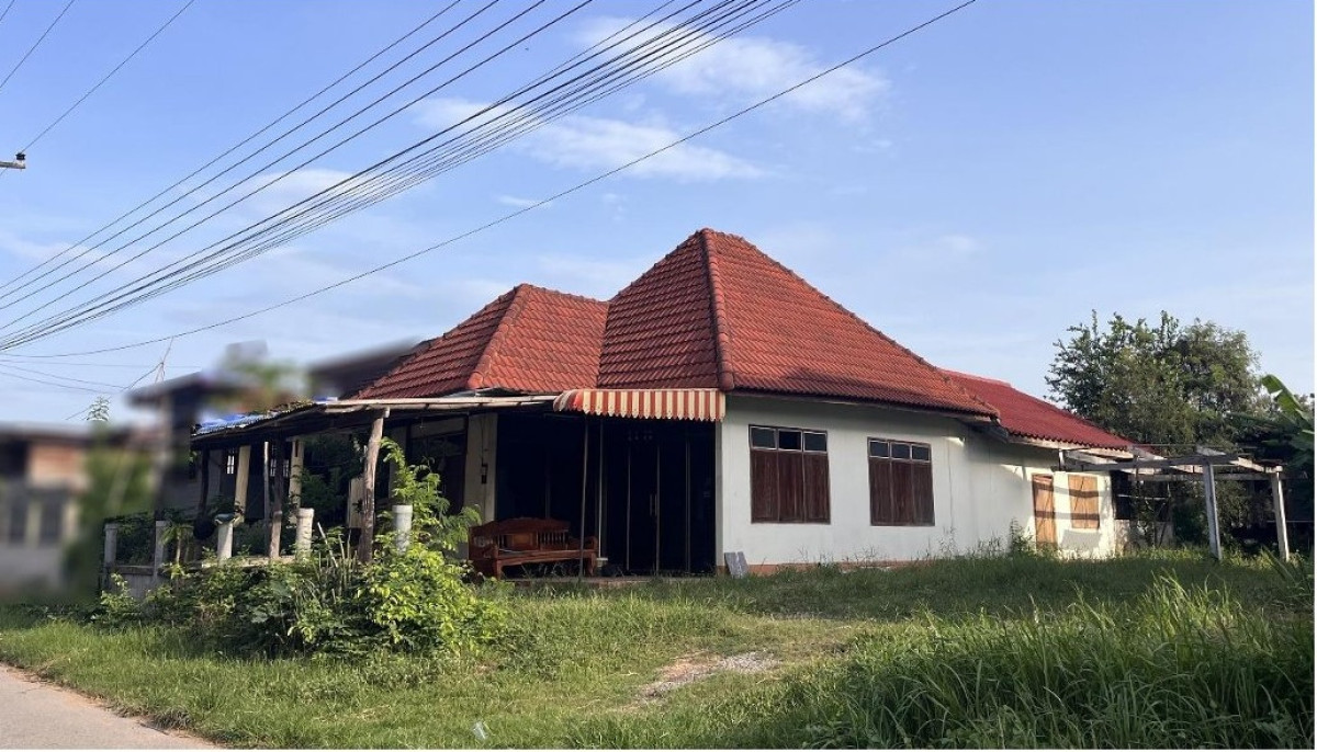 บ้านเดี่ยว ขอนแก่น โคกโพธิ์ไชย ซับสมบูรณ์ 425320