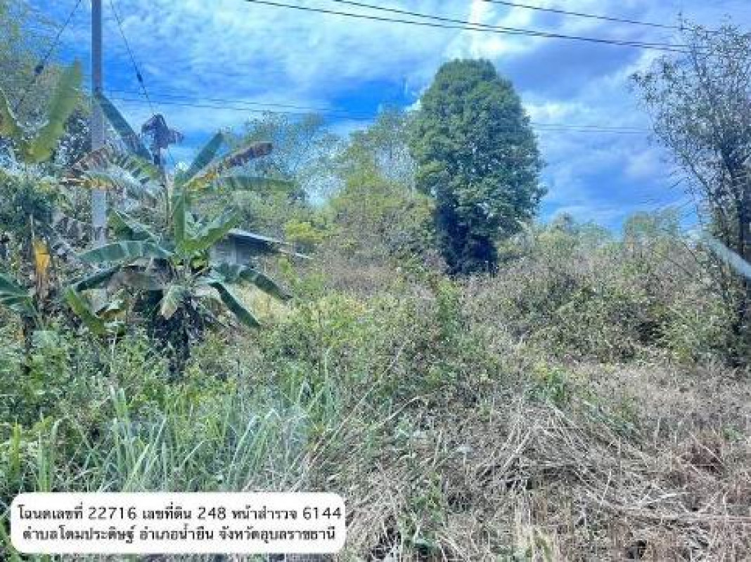 ที่ดินเปล่า อุบลราชธานี น้ำยืน โดมประดิษฐ์ 123006