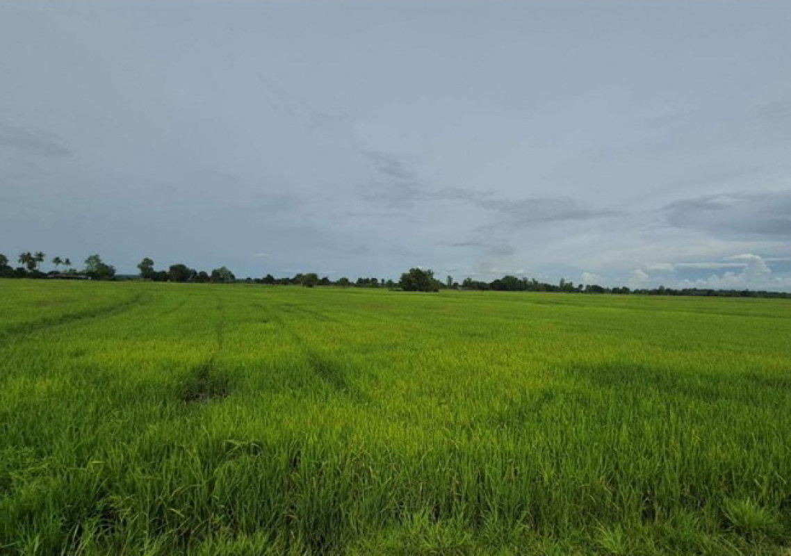 ที่ดินเปล่า ขอนแก่น น้ำพอง ท่ากระเสริม 112000