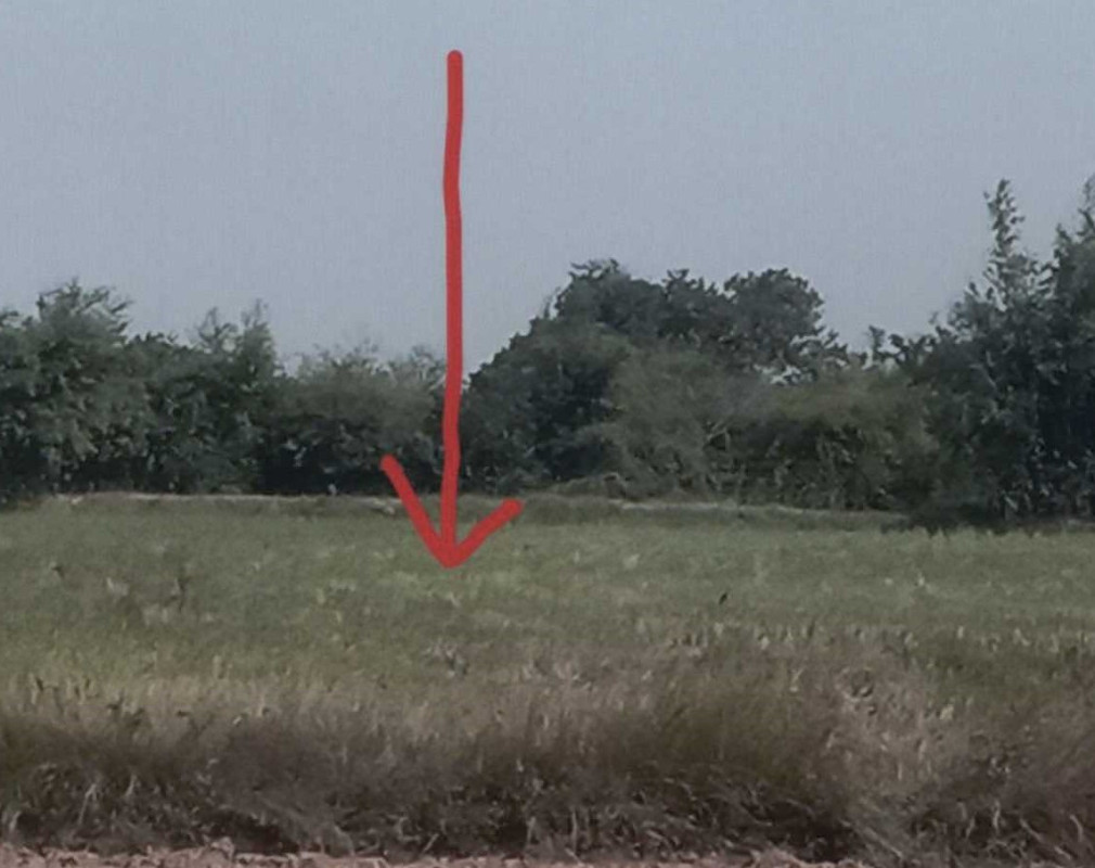 ที่ดินเปล่า มหาสารคาม เมืองมหาสารคาม แวงน่าง 487500