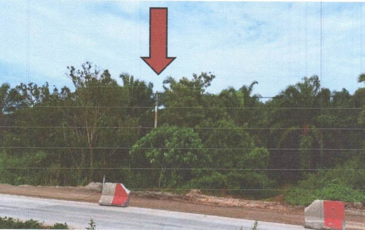 ที่ดินเปล่า สุราษฎร์ธานี บ้านนาเดิม ทรัพย์ทวี 4653000