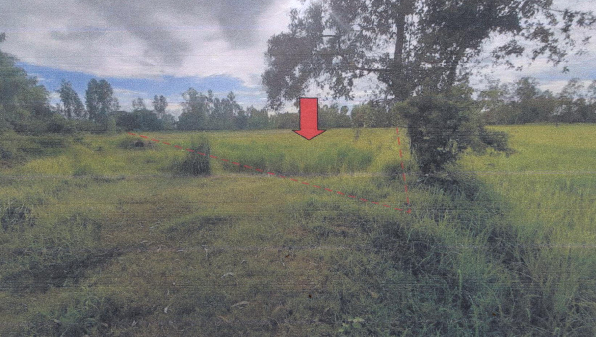 ที่ดินเปล่า ศรีสะเกษ ขุนหาญ สิ 226600