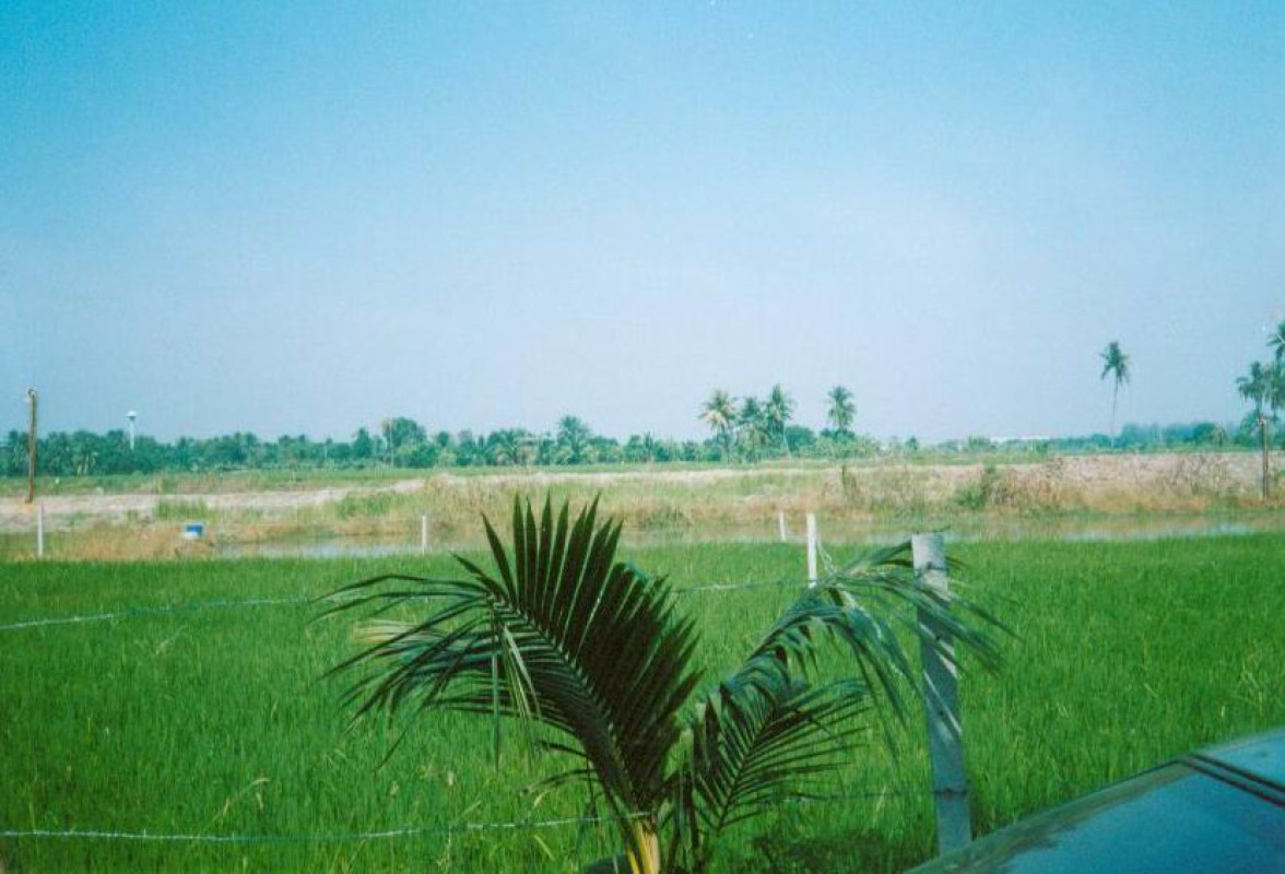 ที่ดินเปล่า นนทบุรี ไทรน้อย หนองเพรางาย 994000