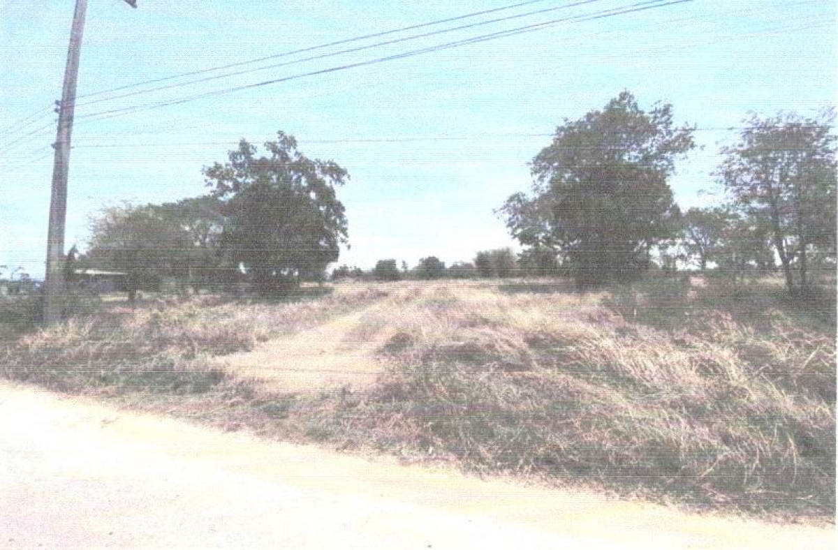 ที่ดินเปล่า ชัยภูมิ จัตุรัส หนองบัวใหญ่ 348458