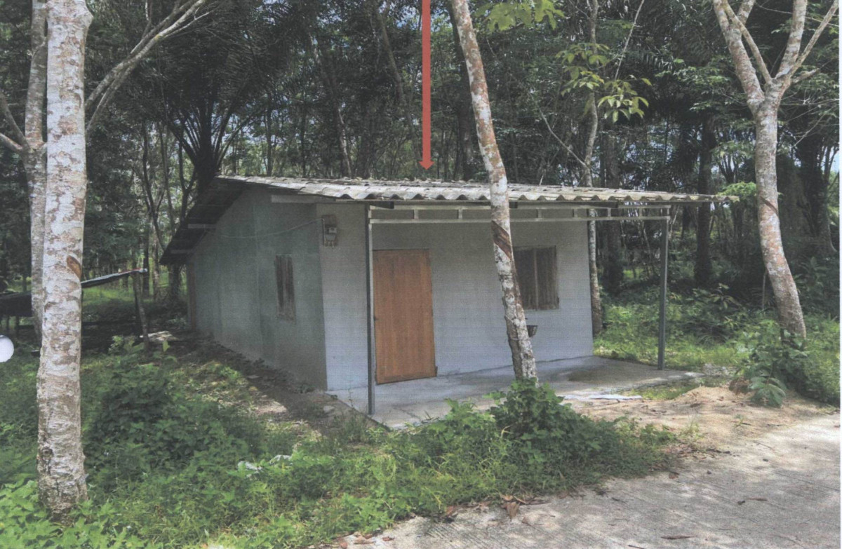 บ้านเดี่ยว นครศรีธรรมราช ทุ่งใหญ่ ท่ายาง 349400