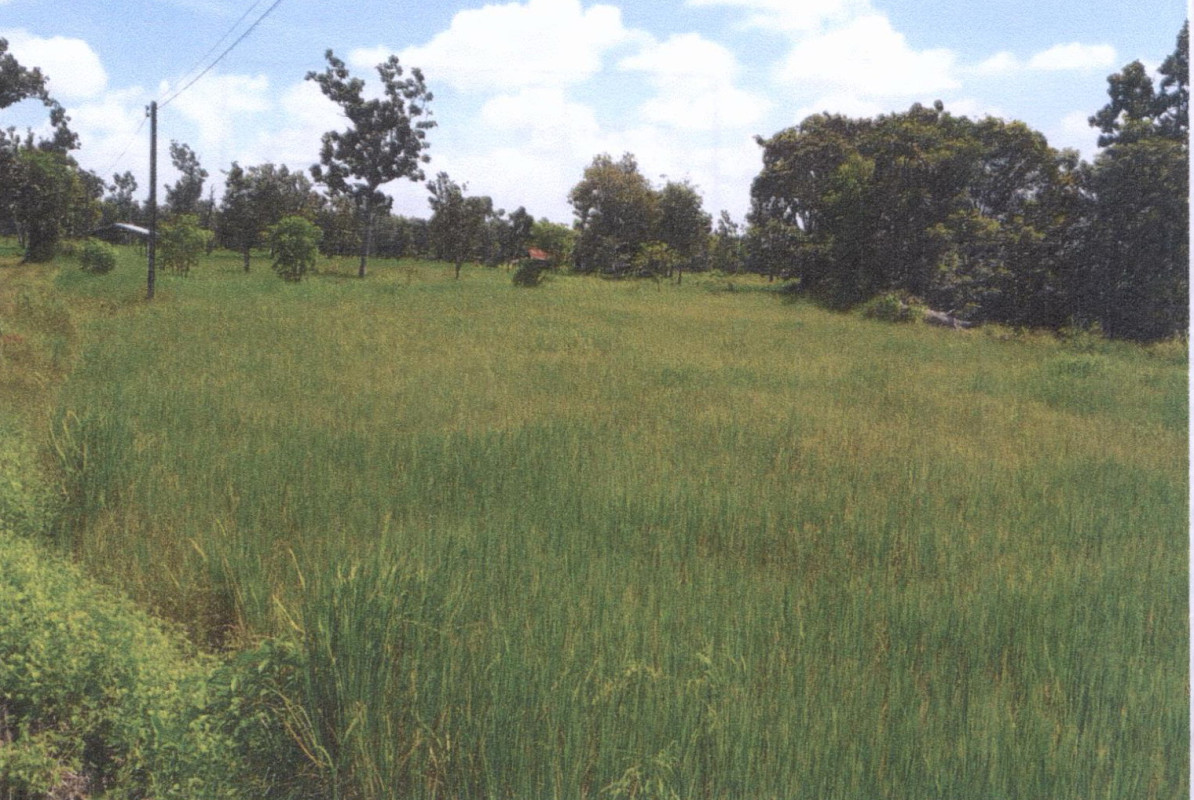 ที่ดินเปล่า อุบลราชธานี เดชอุดม ท่าโพธิ์ศรี 202375