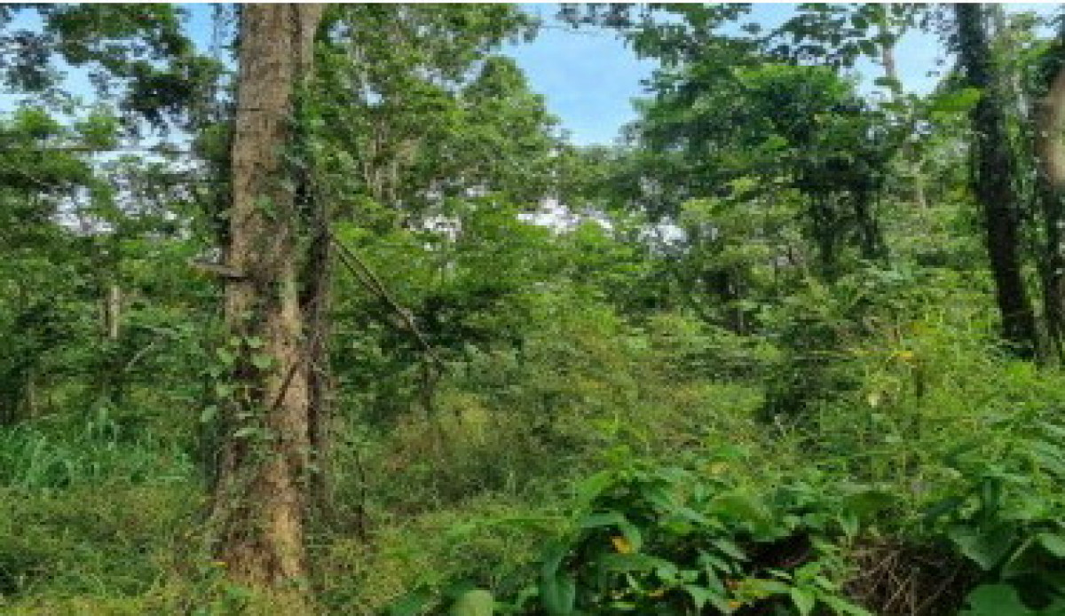 ที่ดินเปล่า มหาสารคาม เมืองมหาสารคาม โคกก่อ 665000