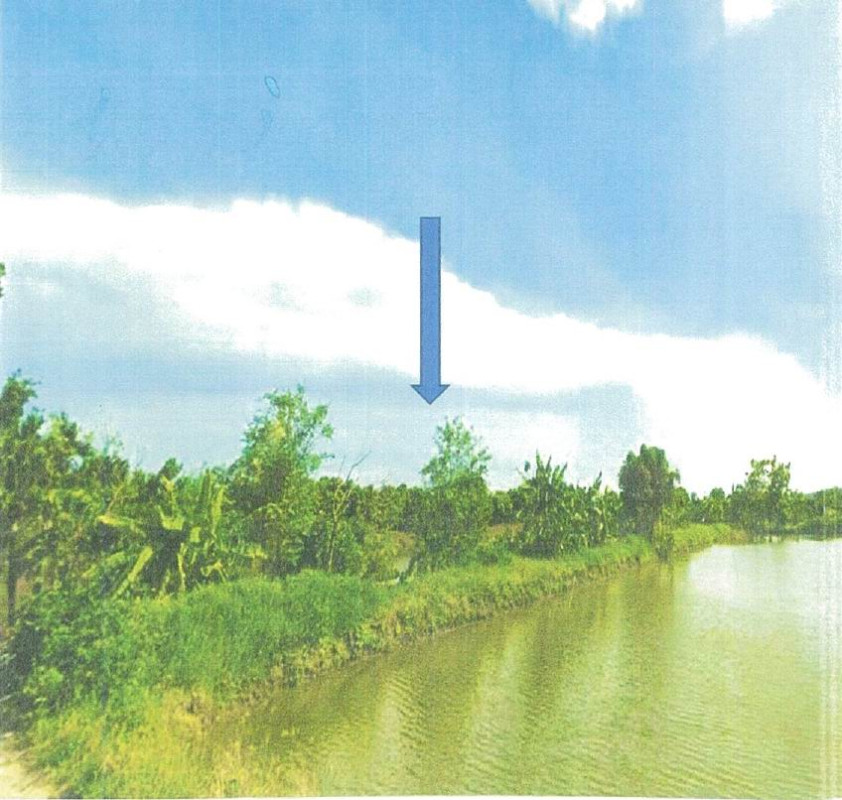 ที่ดินเปล่า สมุทรปราการ บางเสาธง ศีรษะจรเข้ใหญ่ 350000