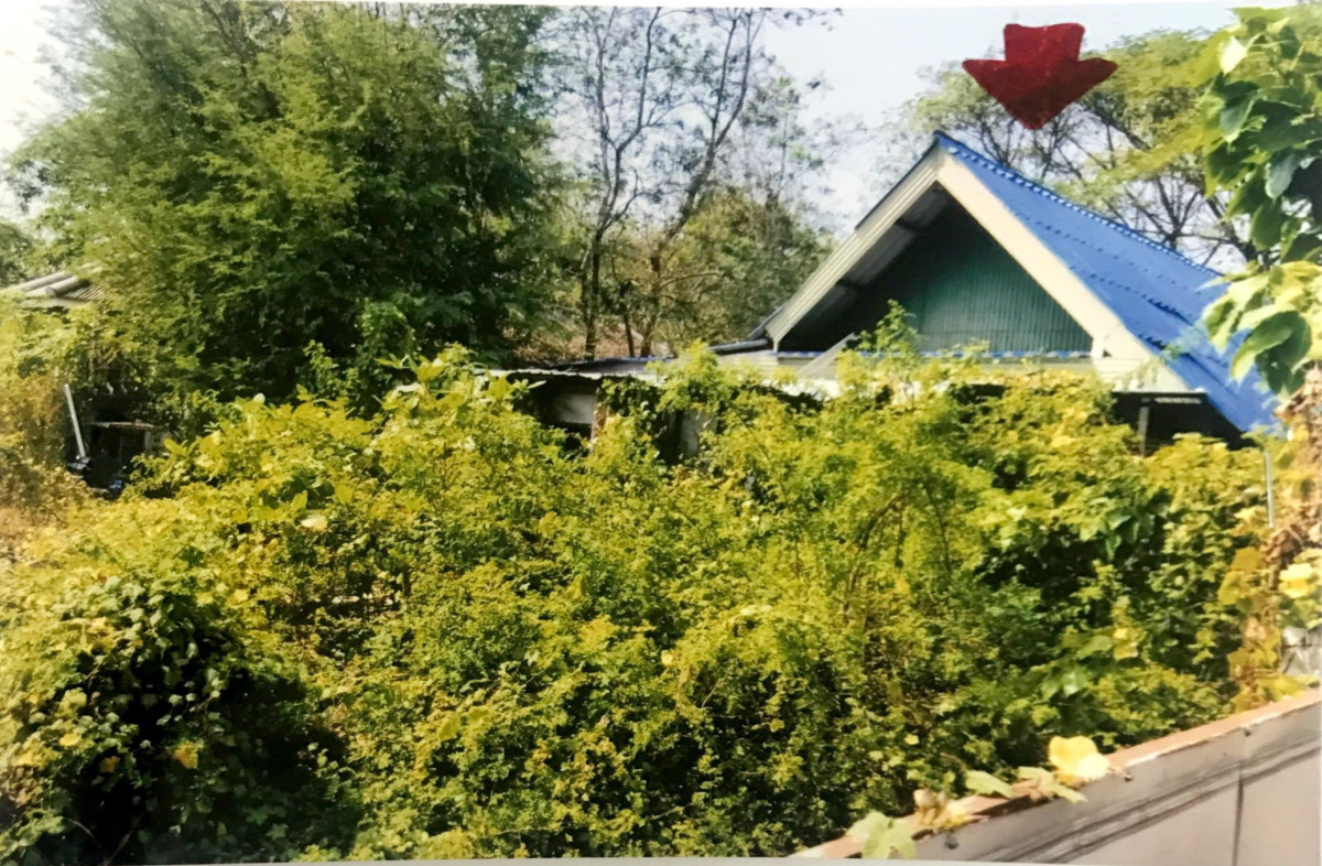 บ้านเดี่ยว พิษณุโลก เมืองพิษณุโลก ในเมือง 43576948