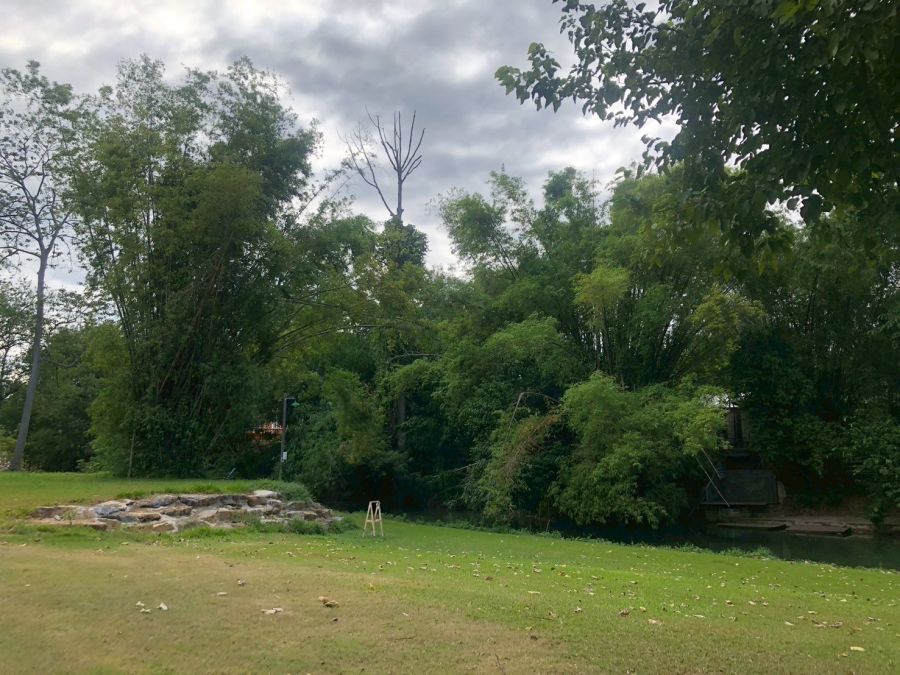 ที่ดินเปล่า นครราชสีมา ปากช่อง พญาเย็น 234300000