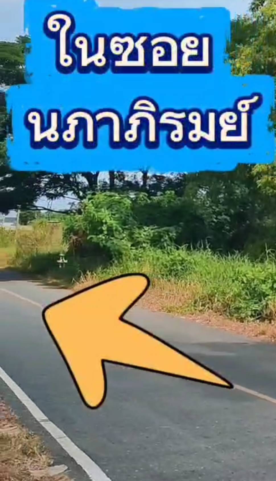ที่ดินเปล่า ปทุมธานี ธัญบุรี บึงสนั่น 7200000