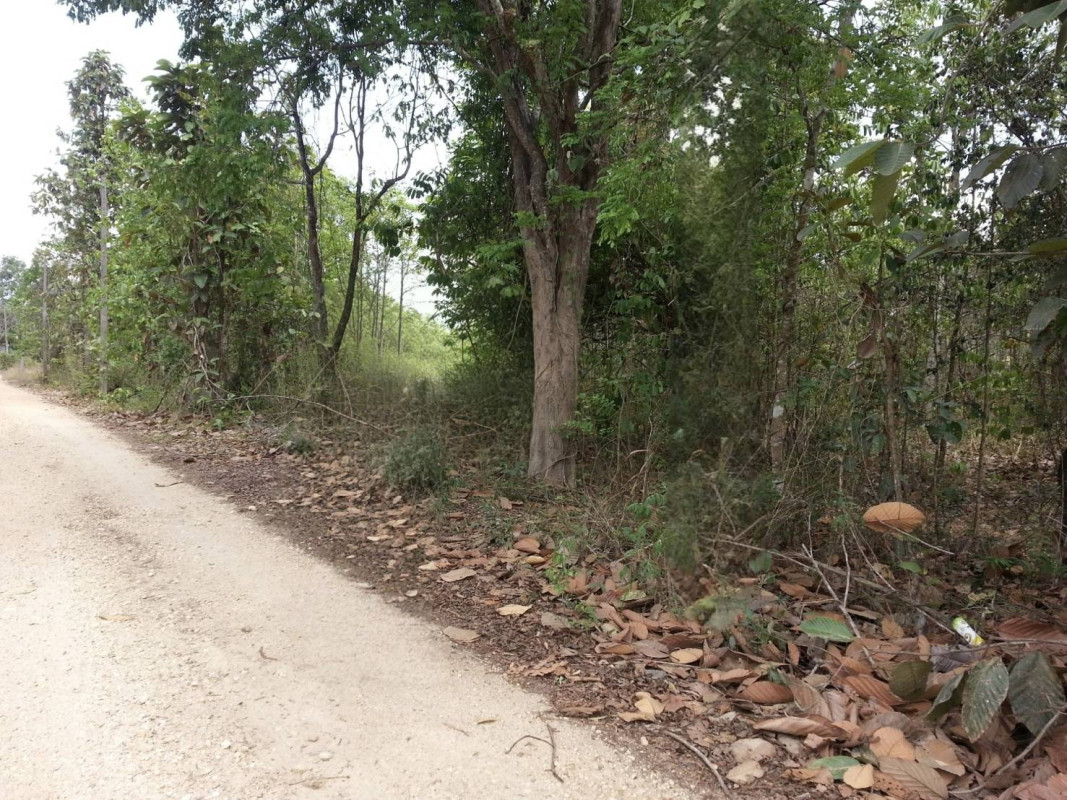 ที่ดินเปล่า ลำปาง ห้างฉัตร ปงยางคก 500000