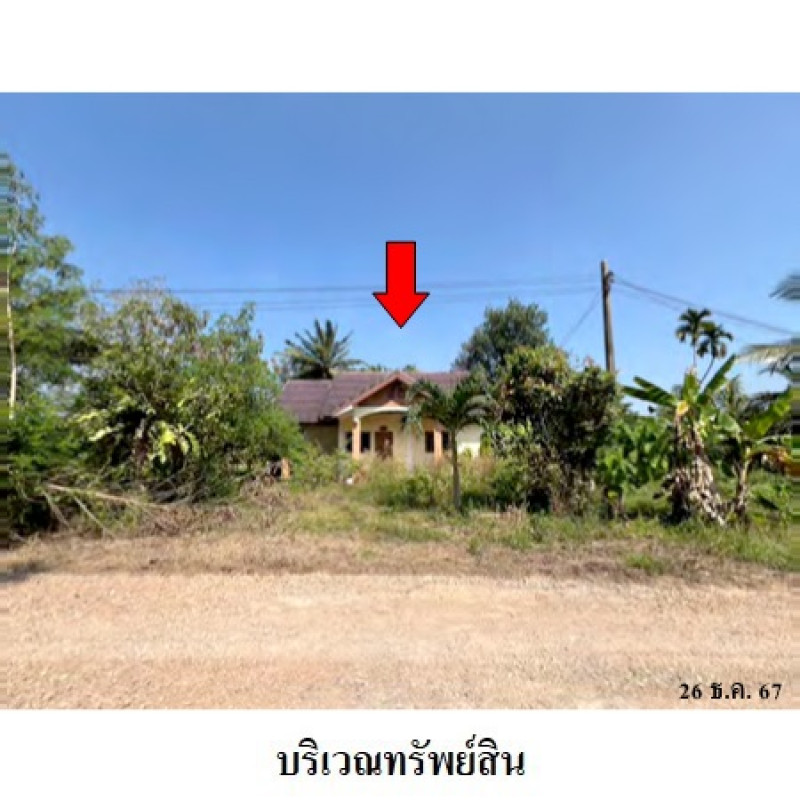 บ้านเดี่ยว ชุมพร เมืองชุมพร วังใหม่ 847400