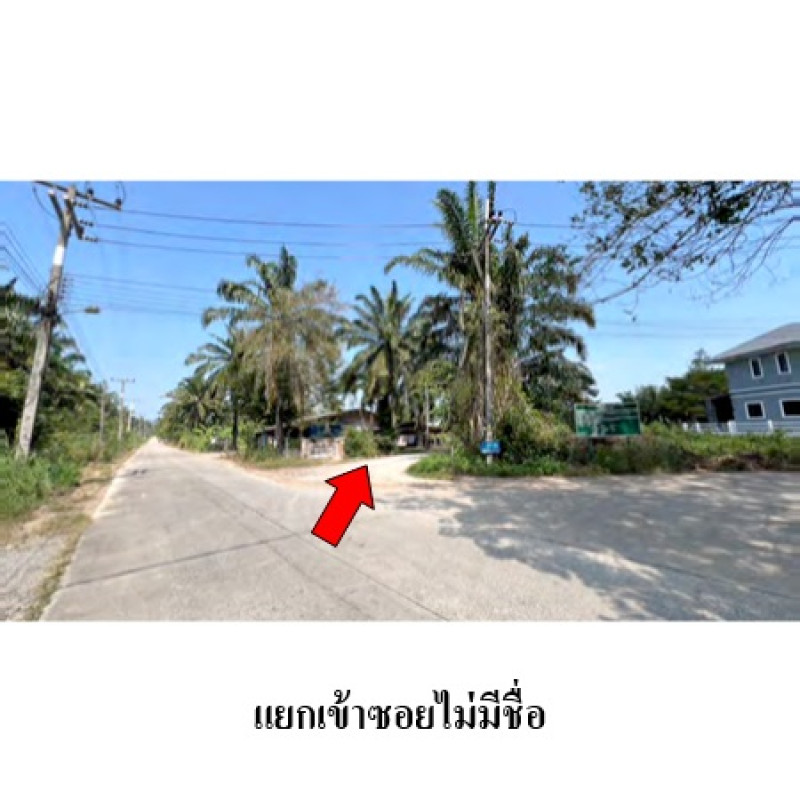 บ้านเดี่ยว ชุมพร เมืองชุมพร วังใหม่ 847400