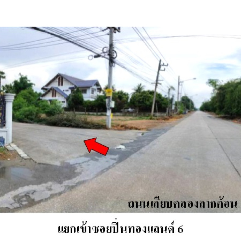 โรงงาน/โกดัง ปทุมธานี ลาดหลุมแก้ว หน้าไม้ 3251000