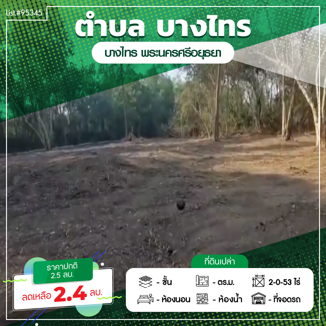 ที่ดินเปล่า พระนครศรีอยุธยา บางไทร บางไทร 2400000