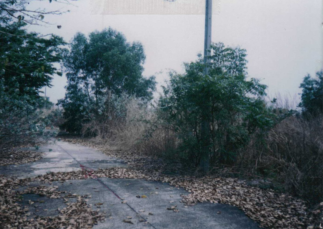 ที่ดินเปล่า ปทุมธานี หนองเสือ บึงชำอ้อ 455000