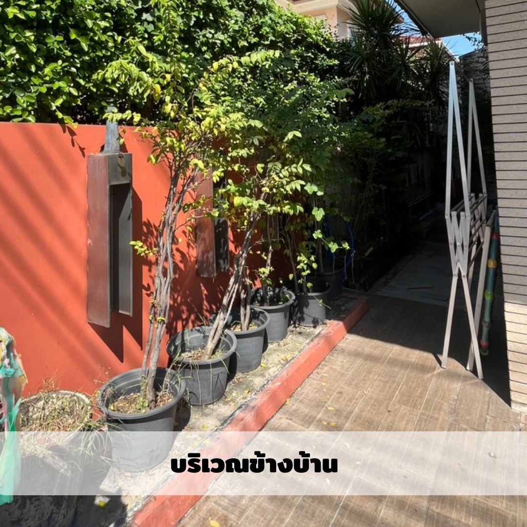 บ้านเดี่ยว แกรนด์คาแนลประชาชื่น นนทบุรี ปากเกร็ด บางตลาด 9800000