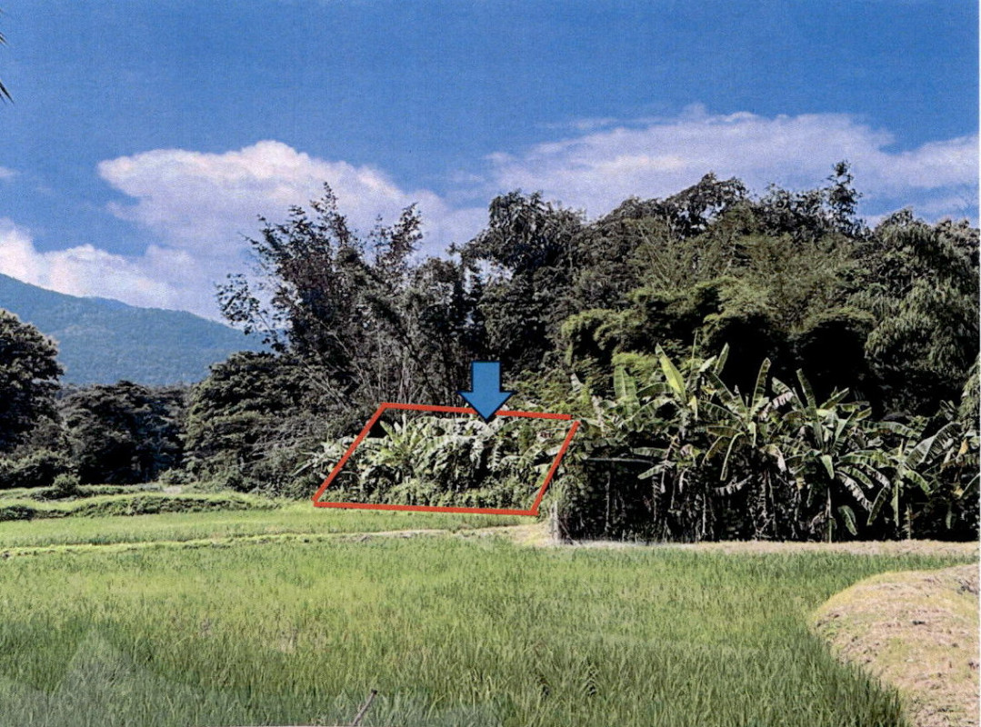 ที่ดินเปล่า ลำปาง แม่ทะ สันดอนแก้ว 6400