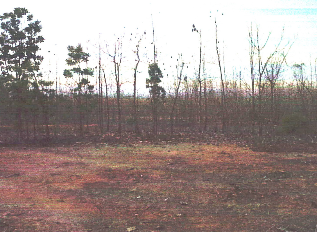 ที่ดินเปล่า ลำปาง เถิน ล้อมแรด 177800