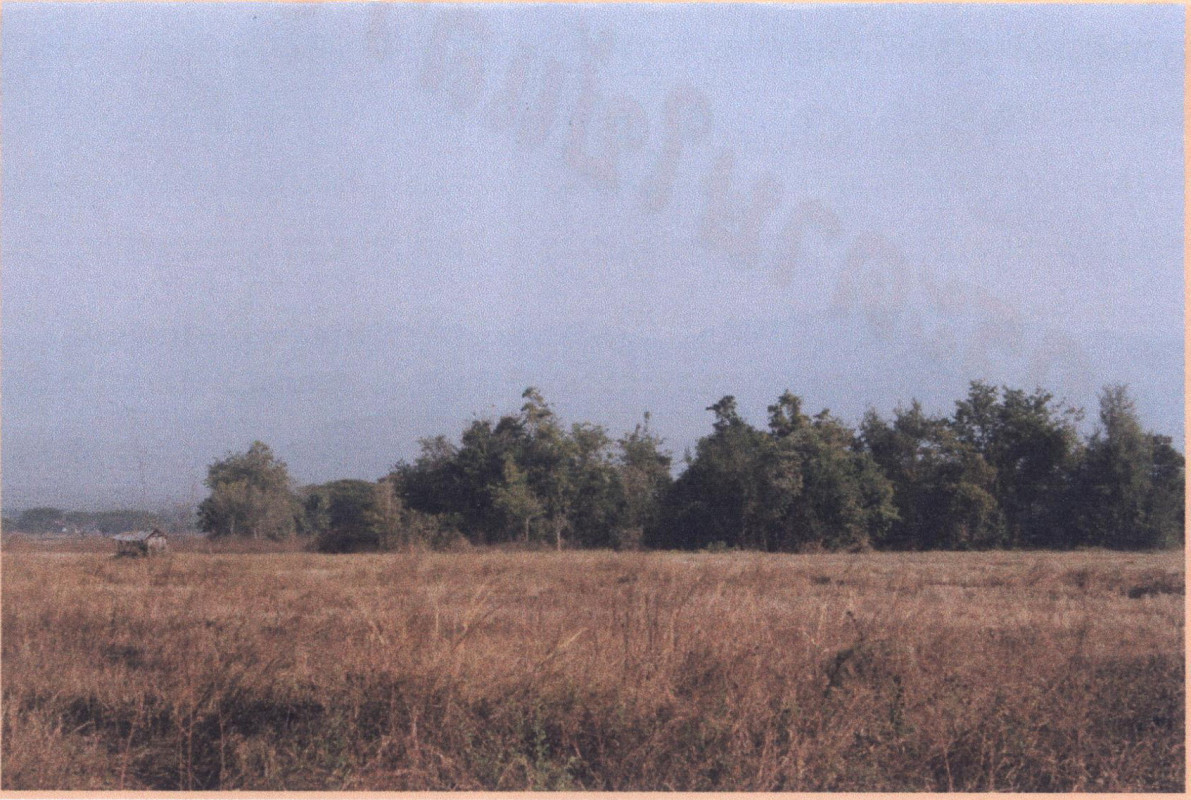 ที่ดินเปล่า ลำปาง เถิน ล้อมแรด 538400