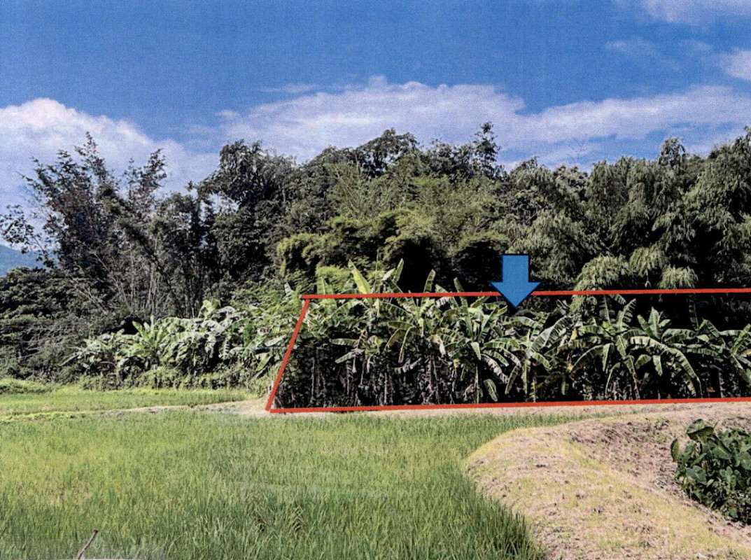 ที่ดินเปล่า ลำปาง แม่ทะ สันดอนแก้ว 31500