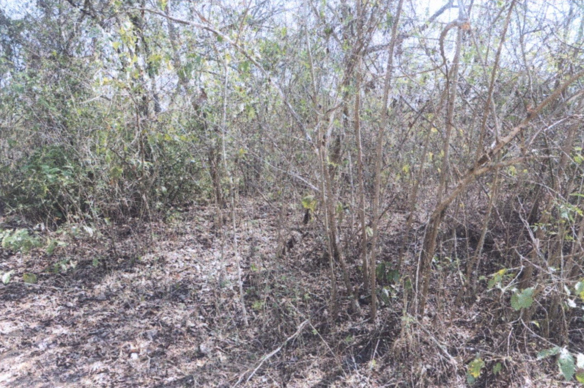 ที่ดินเปล่า ลำปาง เกาะคา ท่าผา 84000