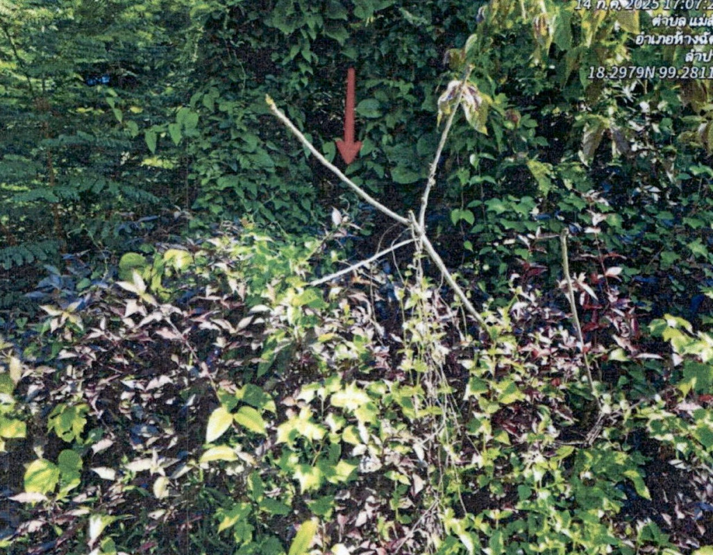 ที่ดินเปล่า ลำปาง ห้างฉัตร แม่สัน 142600