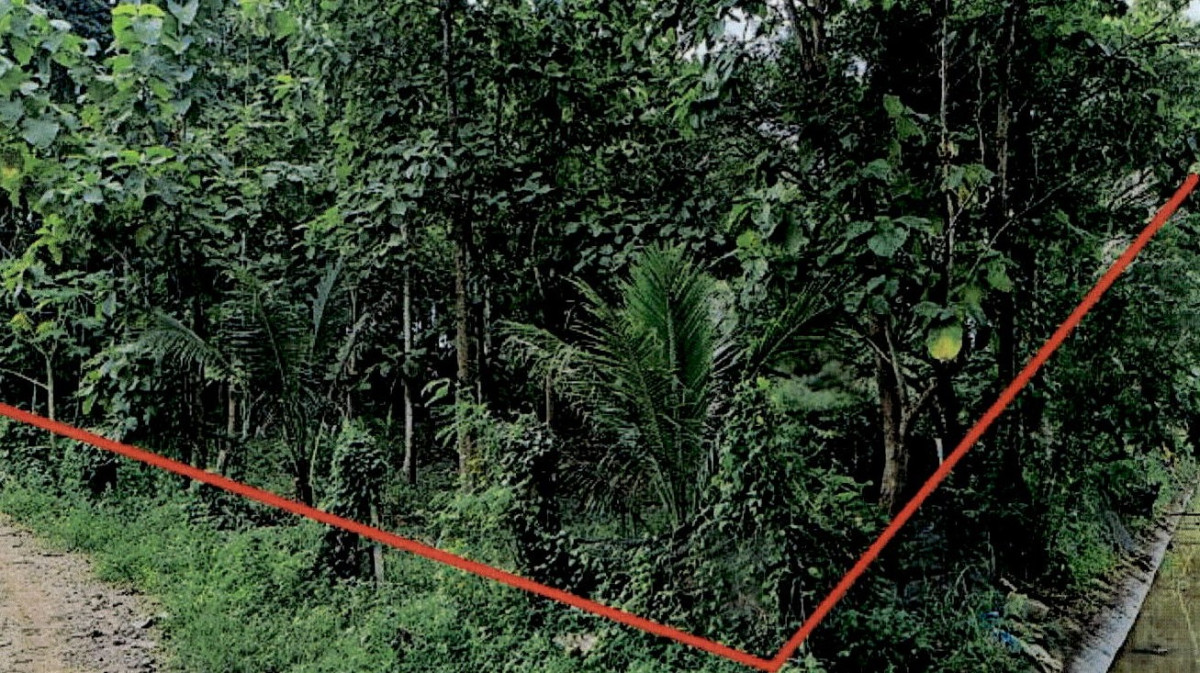 ที่ดินเปล่า ลำปาง เมืองลำปาง บ้านแลง 106250