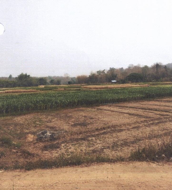 ที่ดินเปล่า ลำปาง เมืองปาน บ้านขอ 264300