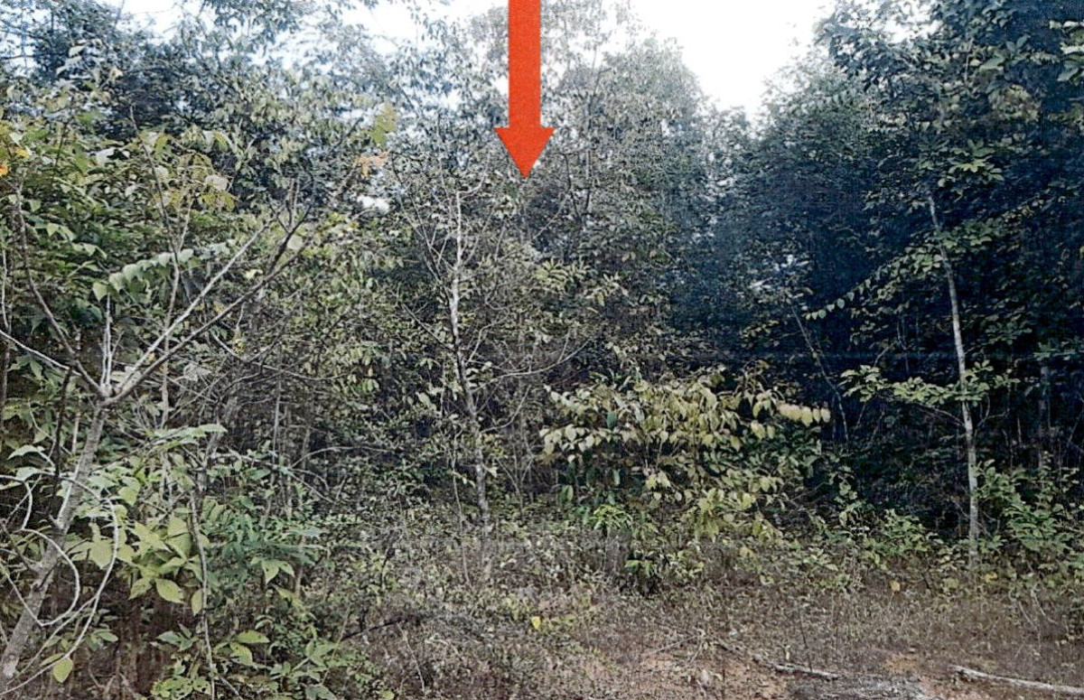 ที่ดินเปล่า ลำปาง เกาะคา ท่าผา 3109170