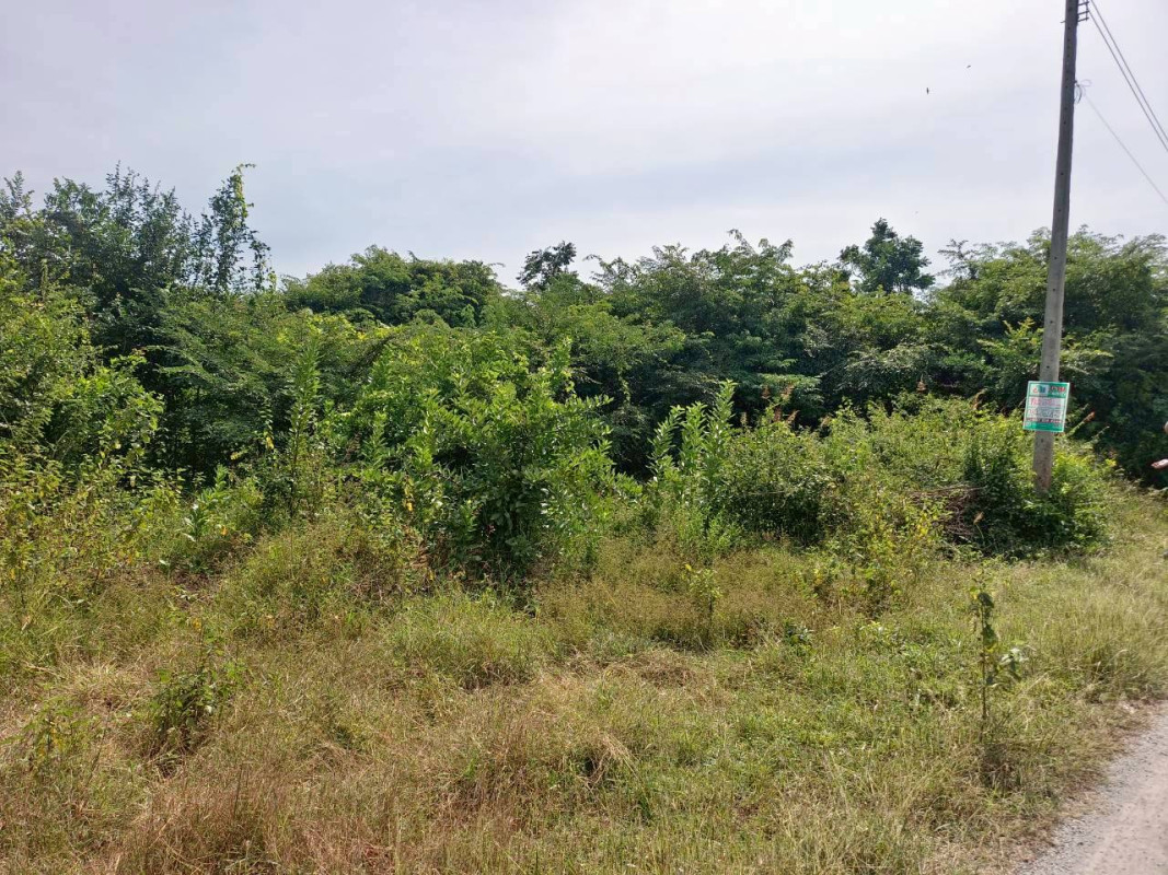 ที่ดินเปล่า ประจวบคีรีขันธ์ หัวหิน หินเหล็กไฟ 400000