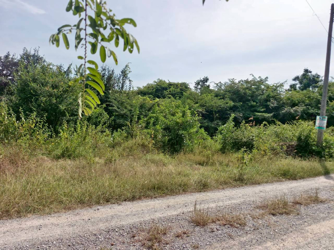 ที่ดินเปล่า ประจวบคีรีขันธ์ หัวหิน หินเหล็กไฟ 400000