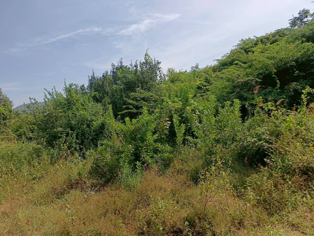 ที่ดินเปล่า ประจวบคีรีขันธ์ หัวหิน หินเหล็กไฟ 400000