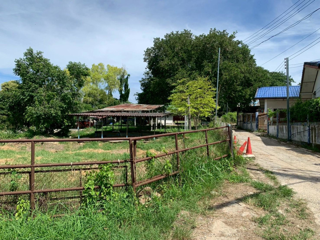 ที่ดินเปล่า นครราชสีมา ปากช่อง กลางดง 50400000